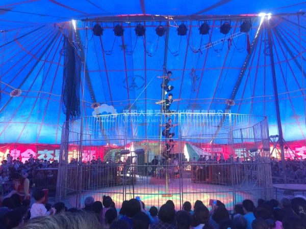 1503912161120483.jpg 1116.jpg