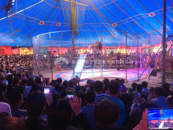 1503912161124291.jpg 1139.jpg